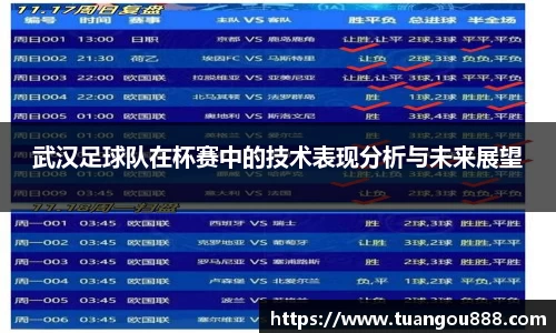 武汉足球队在杯赛中的技术表现分析与未来展望