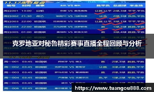 克罗地亚对秘鲁精彩赛事直播全程回顾与分析