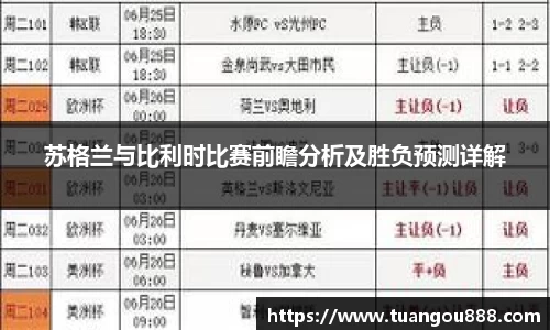 苏格兰与比利时比赛前瞻分析及胜负预测详解