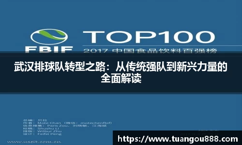 武汉排球队转型之路：从传统强队到新兴力量的全面解读